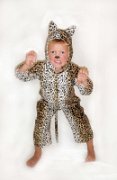 Gepard